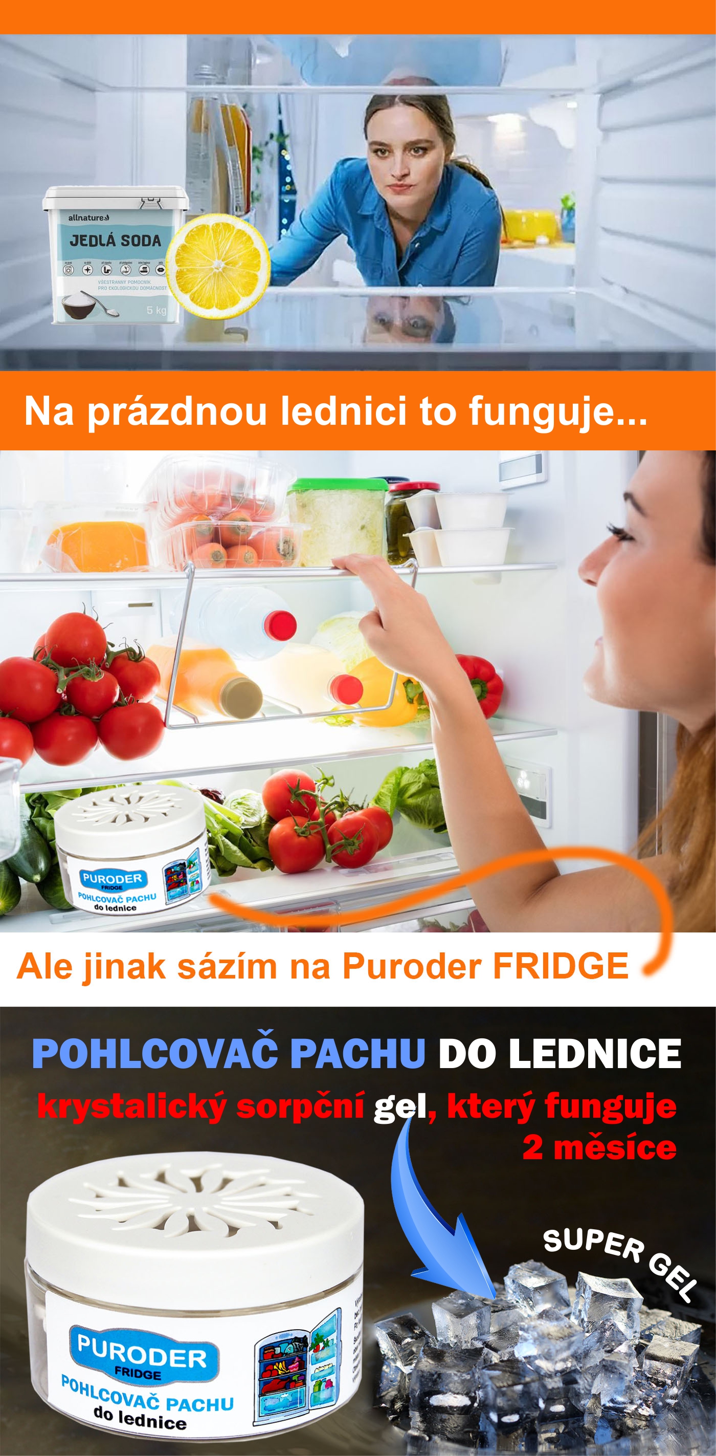 pohled do lednice